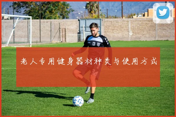 老人专用健身器材种类与使用方式