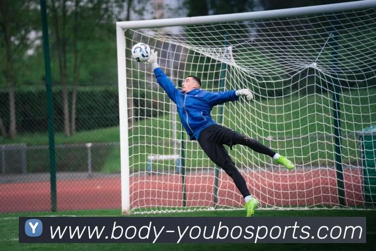 友博体育平台生态图